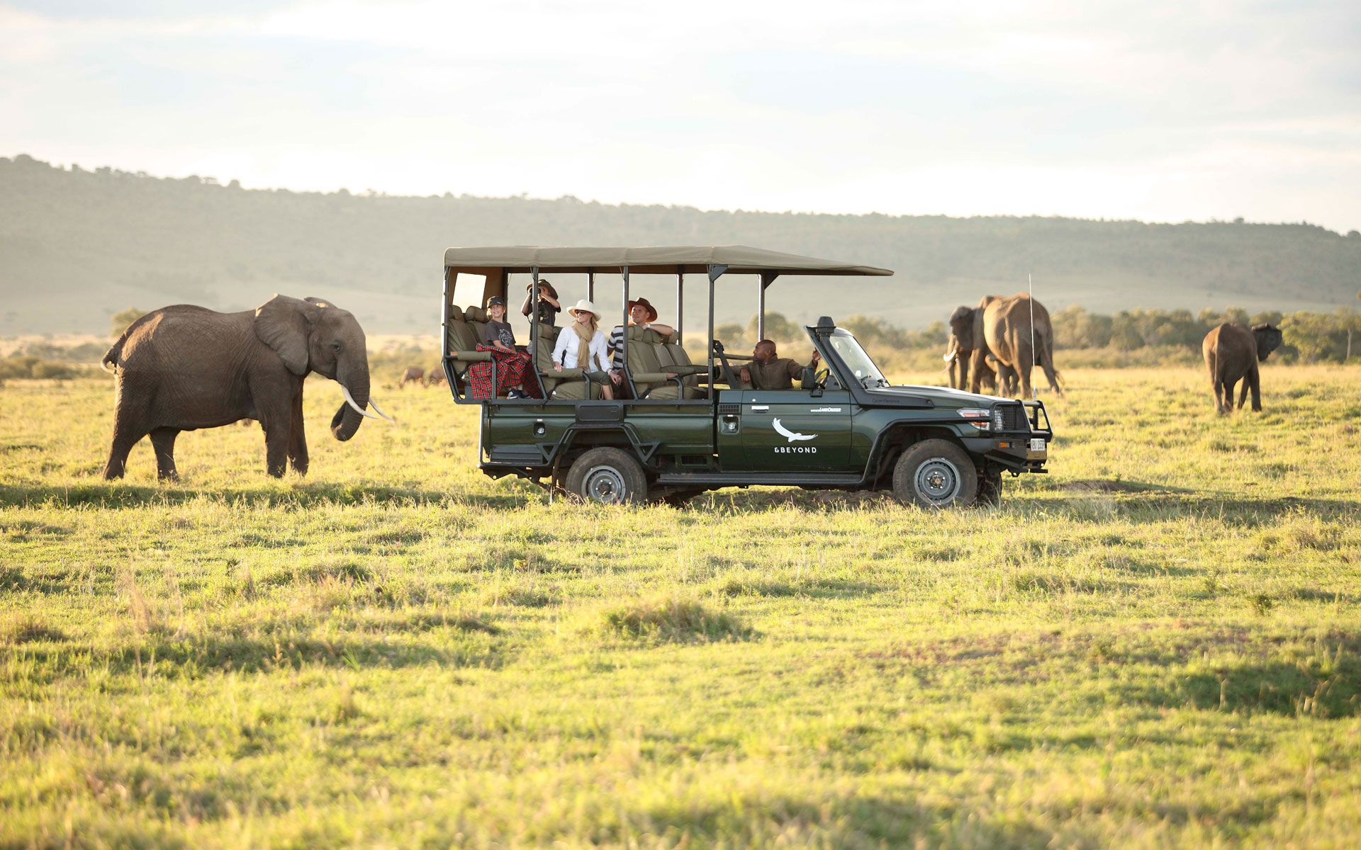 Safari Holiday